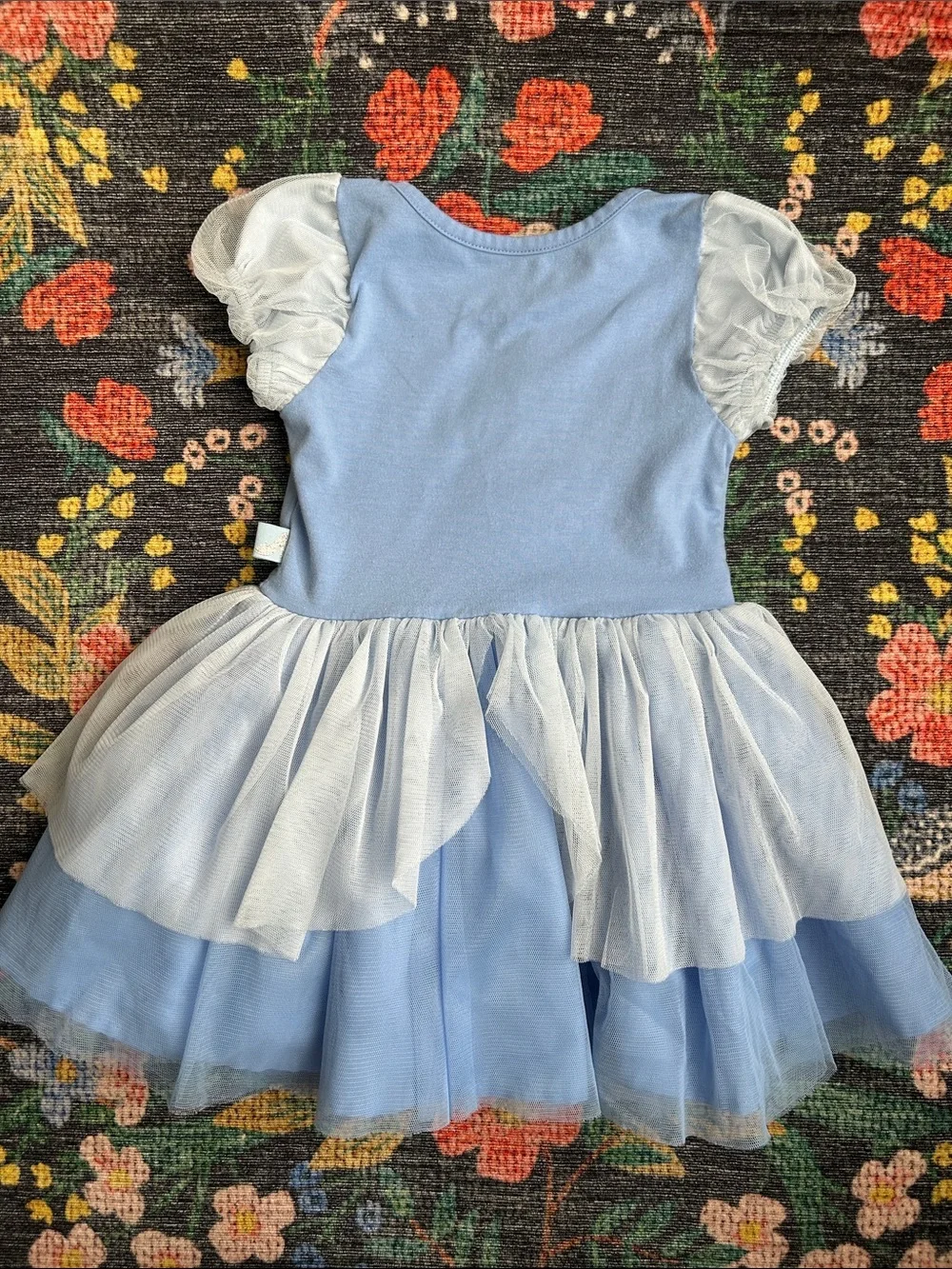 Disney cinderella short